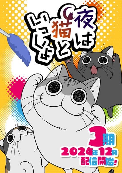 Постер аниме Вечера с кошкой 3